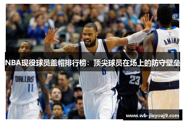 NBA现役球员盖帽排行榜：顶尖球员在场上的防守壁垒
