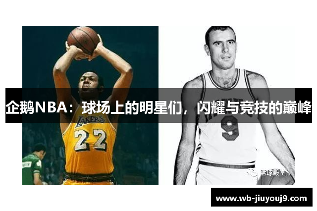企鹅NBA：球场上的明星们，闪耀与竞技的巅峰