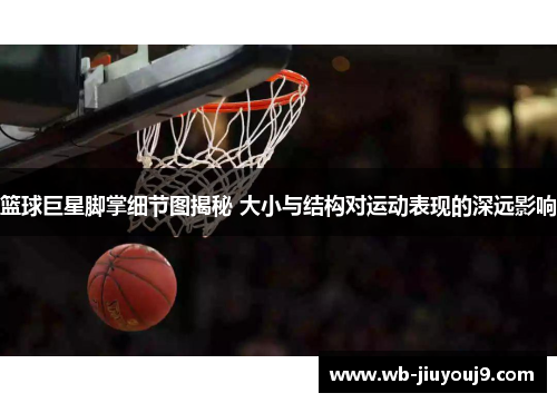 篮球巨星脚掌细节图揭秘 大小与结构对运动表现的深远影响